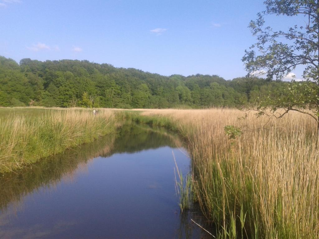 Ostsee Reetkate Langballig Szoba fotó